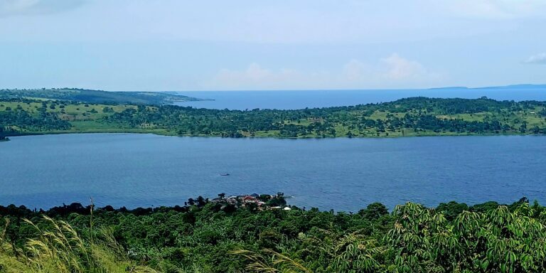 View_of_Lake_Nalubaale-768×512-1