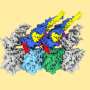 microtubules-discovere-1