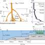 3d-root-model-captures