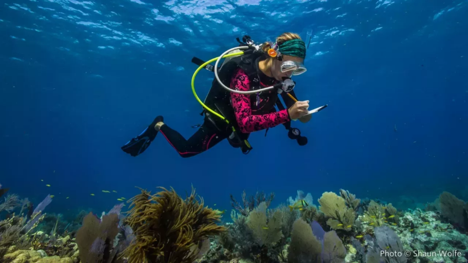 Coral-Reef-Resilience-Online-Course-png