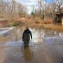 can-unpaved-roads-and