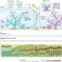 coral-reef-science-mus