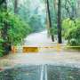 flood