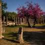 the-monuments-scattere