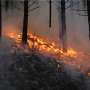 wildfires-an-increasin