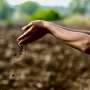 soil-science