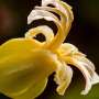 these-california-wildf