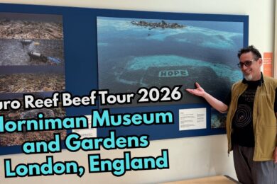 p349891-youtube-thumbnail