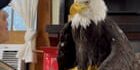 909
