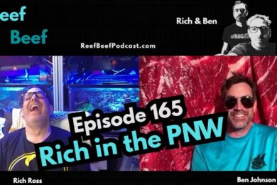 p350847-youtube-thumbnail