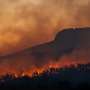 wildfire-3