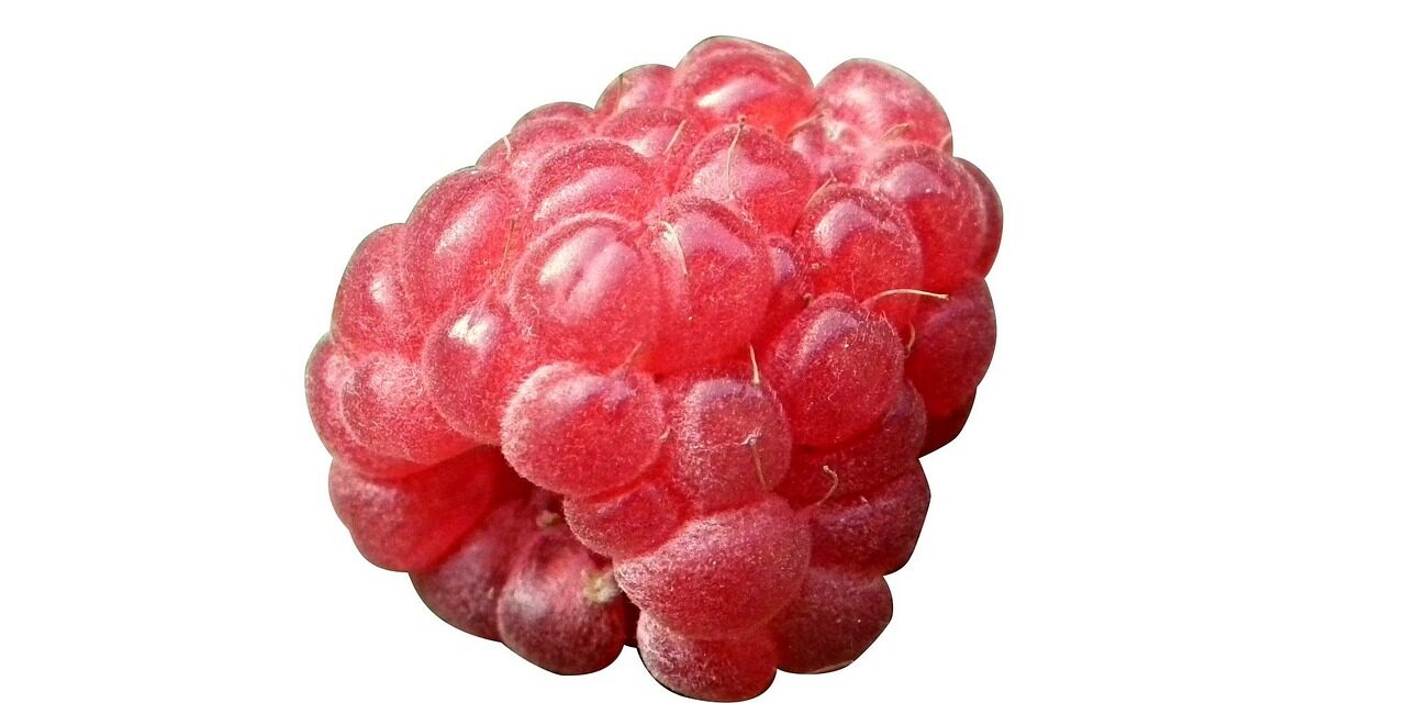 gdc3d8e3fc8c2dc53ac712ebc990ecffd81e0c0f7e0e502d5752e6cd9da1c00130c577aadf3d4498b083f9e46e686d379_1280
